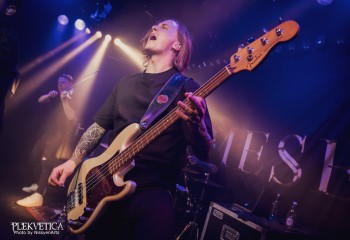 siamese-55