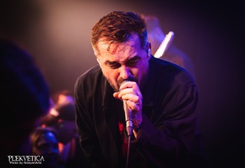 siamese-57