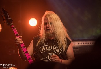 Swansong - Photo by Dänu