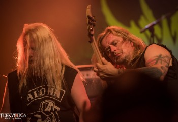 Swansong - Photo by Dänu