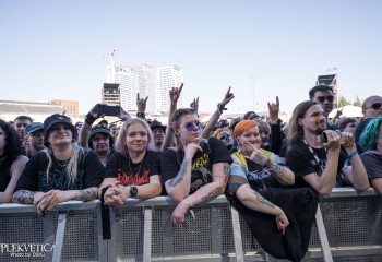 Tarot - Photo by Dänu