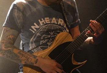 Trust the Shark - Photo by Pat