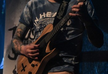 Trust the Shark - Photo by Pat