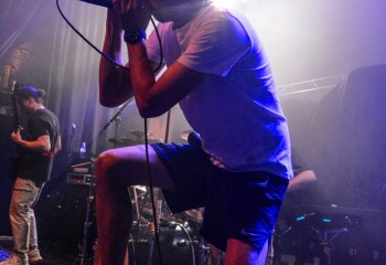 Trust the Shark - Photo by Pat