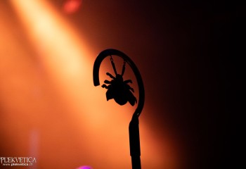 Vigljos - Photo by Natalie