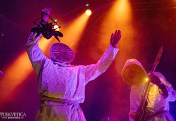 Vigljos - Photo by Natalie