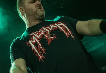 Vorax - Photo by Dänu