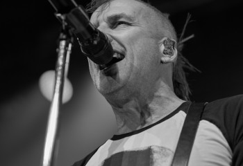 WIZO - Photo By Peti