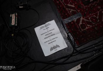 Ailurophobia - Photo by Natalie