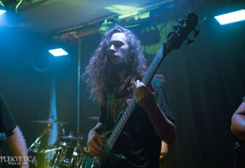 Ailurophobia - Photo by Natalie