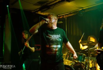 Ailurophobia - Photo by Natalie