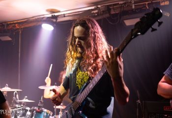 Ailurophobia - Photo by Natalie