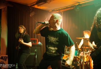 Ailurophobia - Photo by Natalie