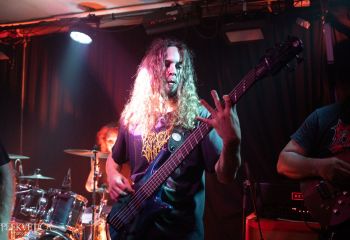 Ailurophobia - Photo by Natalie