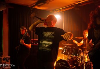 Ailurophobia - Photo by Natalie