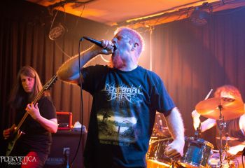 Ailurophobia - Photo by Natalie