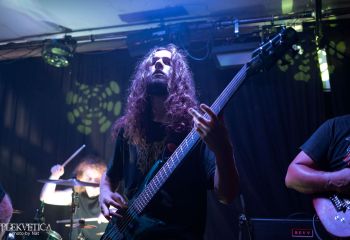 Ailurophobia - Photo by Natalie