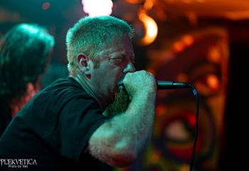 Ailurophobia - Photo by Natalie