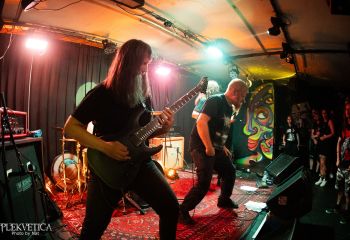 Ailurophobia - Photo by Natalie