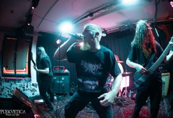 Ailurophobia - Photo by Natalie