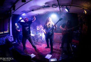 Ailurophobia - Photo by Natalie