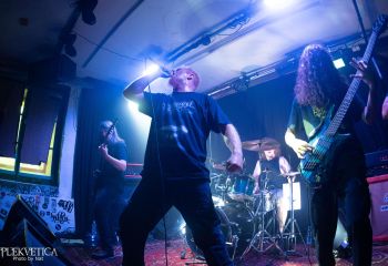 Ailurophobia - Photo by Natalie