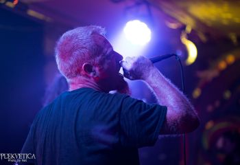 Ailurophobia - Photo by Natalie