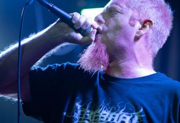 Ailurophobia - Photo by Natalie