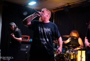 Ailurophobia - Photo by Natalie