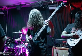 Ailurophobia - Photo by Natalie