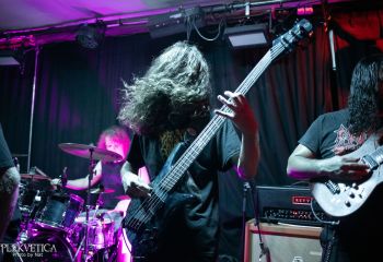 Ailurophobia - Photo by Natalie