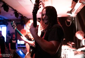 Ailurophobia - Photo by Natalie