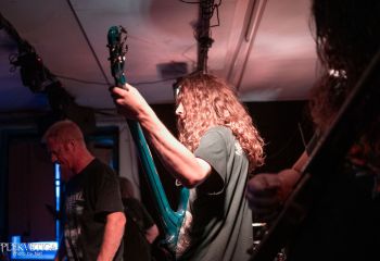 Ailurophobia - Photo by Natalie