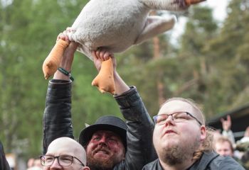 Alestorm - Photo by Dänu