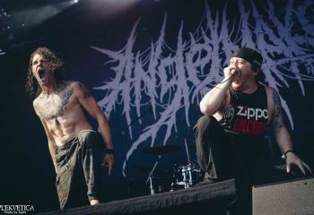 angmkr-hmf25-sami-13