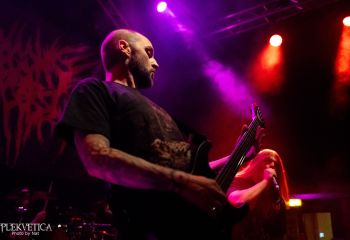 Begging for Incest - Photo by Natalie