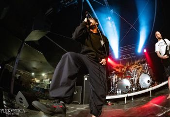 begging-for-incest-junkyard-dortmund-01-08-2025-13