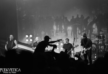 Betontod - Photo By Peti