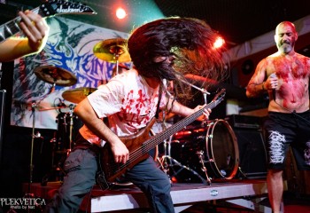 Bleeding Display - Photo by Natalie