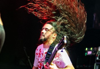 Bleeding Display - Photo by Natalie