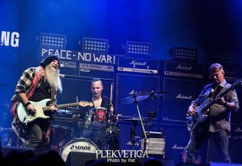 Bluedög - Photo by Pat