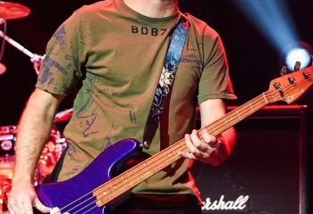 Bush - Photo by Pat