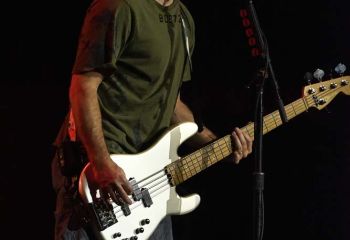 Bush - Photo by Pat