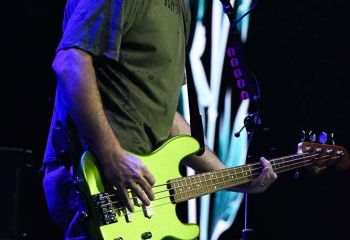 Bush - Photo by Pat