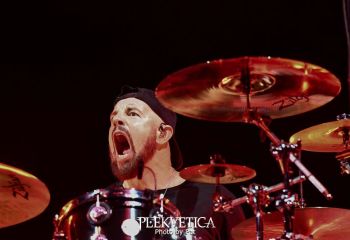 Bush - Photo by Pat
