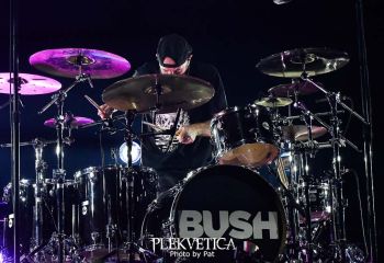 Bush - Photo by Pat