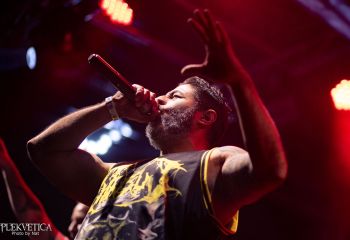 Cephalotripsy - Photo by Natalie