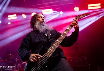 Cephalotripsy - Photo by Natalie