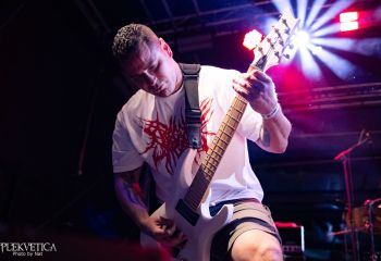 Cephalotripsy - Photo by Natalie