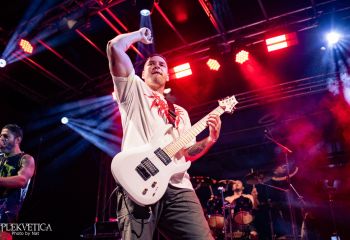 Cephalotripsy - Photo by Natalie